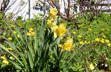 Similar image 21841835