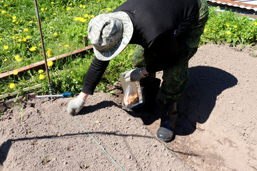 Similar image 21841836