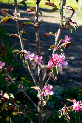 Similar image 21841837