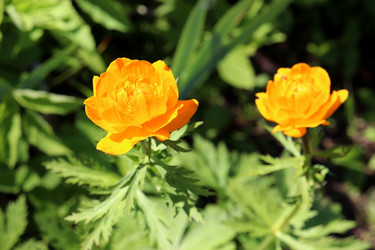 Similar image 21841838