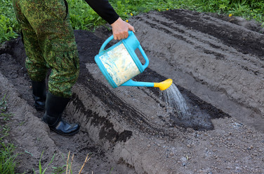 Similar image 21841840