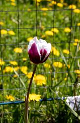 Similar image 21841841