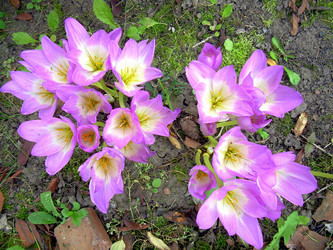 Similar image 21840744