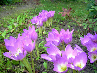 Similar image 21840745