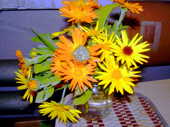 Similar image 21840748