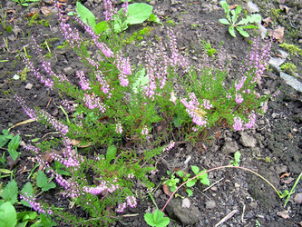 Similar image 21840749