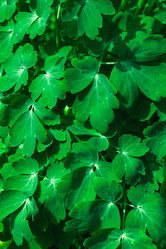 Similar image 21840567