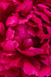 Similar image 21840569