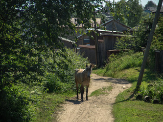 Similar image 21840597