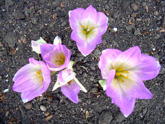 Similar image 21840764