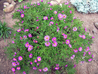 Similar image 21840765