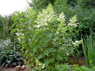 Similar image 21840767