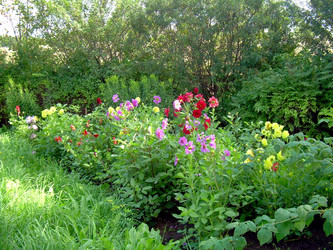 Similar image 21840769