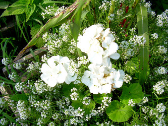 Similar image 21840770