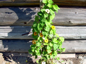 Similar image 21840772