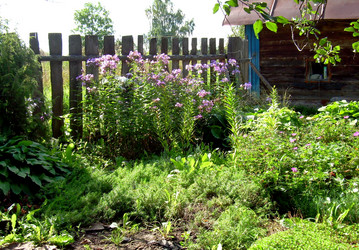 Similar image 21840777