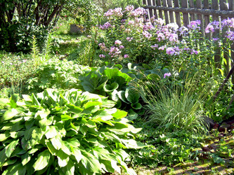 Similar image 21840778