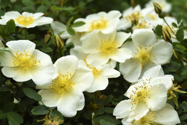 Similar image 21840788