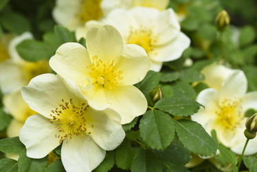 Similar image 21840789