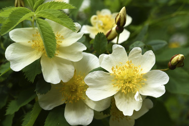 Similar image 21840790