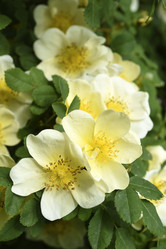 Similar image 21840791