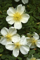 Similar image 21840792