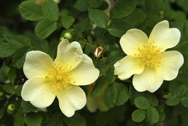 Similar image 21840793