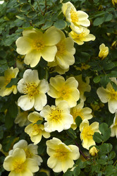 Similar image 21840794