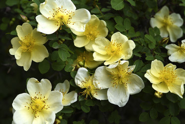 Similar image 21840795