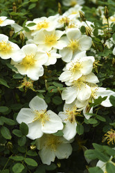 Similar image 21840796