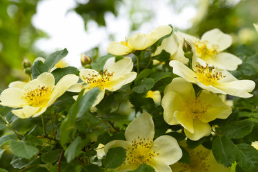 Similar image 21840797