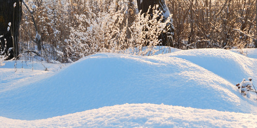 Similar image 21840799