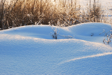 Similar image 21840800