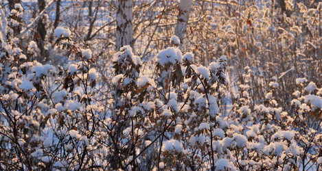 Similar image 21840814