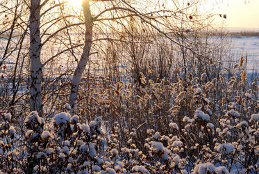 Similar image 21840816