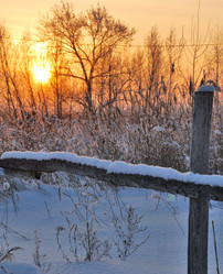 Similar image 21840829