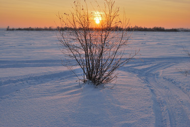 Similar image 21840831