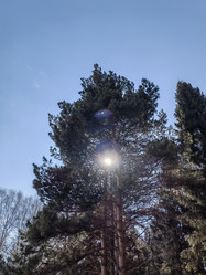 Similar image 21841331