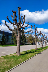 Similar image 21841587