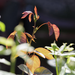 Similar image 21855998