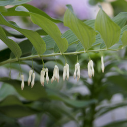 Similar image 21855999