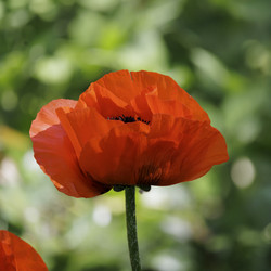 Similar image 21856000