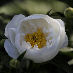 Similar image 21856001