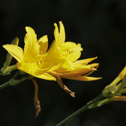 Similar image 21841342