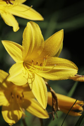 Similar image 21841343