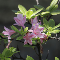 Similar image 21856002