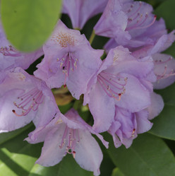 Similar image 21856003