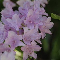 Similar image 21856004