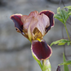 Similar image 21841344