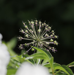 Similar image 21841346